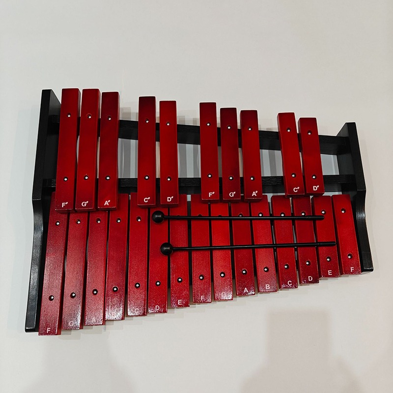 Kids Toys Xylophone - 휴대용 실로폰 25 톤 Woden 실로폰