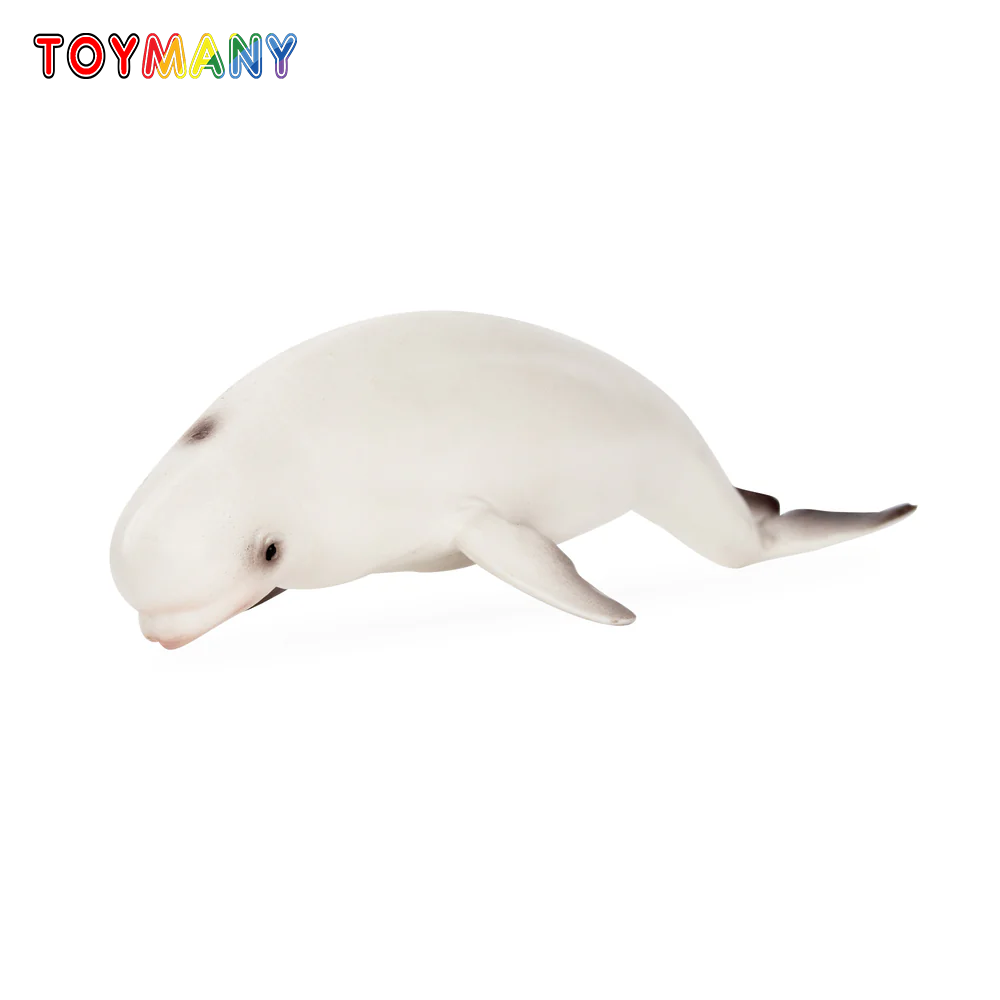 Kids Toys Under $5 - Toymany 시뮬레이션 벨루가 고래 해양 동물