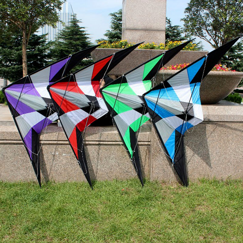 Kite Wind Outdoor - 전문 야외 재미있는 스포츠 델타 듀얼