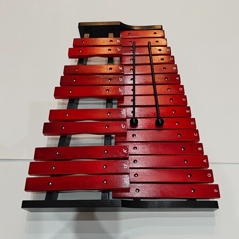 휴대용 실로폰 25 톤 Woden 실로폰 어린이 초급  - Kids Toys Xylophone 리뷰 및 가격