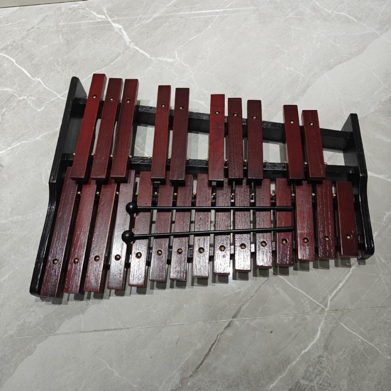 휴대용 실로폰 25 톤 Woden 실로폰 어린이 초급  - Kids Toys Xylophone 리뷰 및 가격