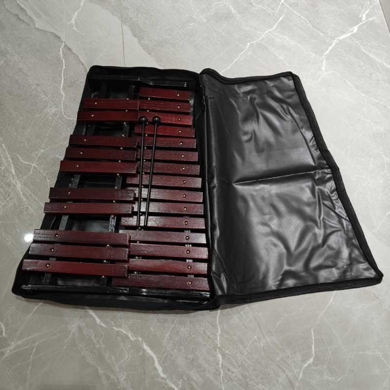 휴대용 실로폰 25 톤 Woden 실로폰 어린이 초급  - Kids Toys Xylophone 리뷰 및 가격