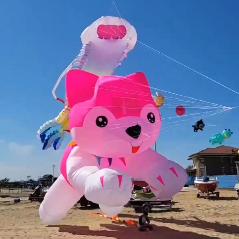 거대 연, 풍선 연, 개 모양 연 펜던트, 부드러운 연 - Kite Wind Outdoor 리뷰 및 가격