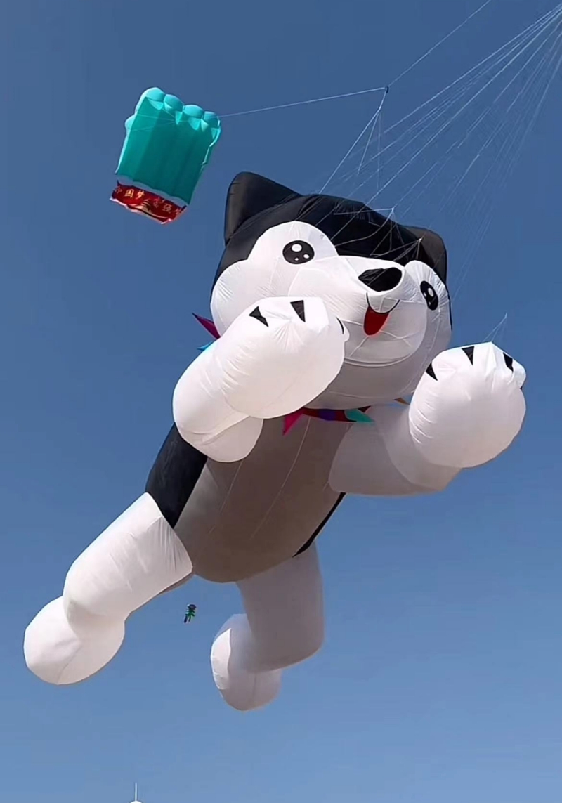 거대 연, 풍선 연, 개 모양 연 펜던트, 부드러운 연 - Kite Wind Outdoor 리뷰 및 가격