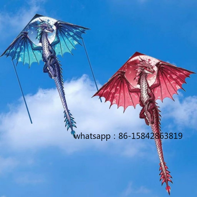 새로운 익룡 연날개 전문용 바람 연날개 릴 야외 장난감 - Kite Wind Outdoor 리뷰 및 가격