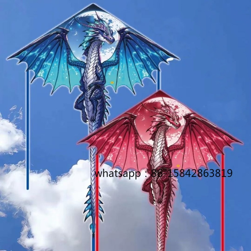 새로운 익룡 연날개 전문용 바람 연날개 릴 야외 장난감 - Kite Wind Outdoor 리뷰 및 가격