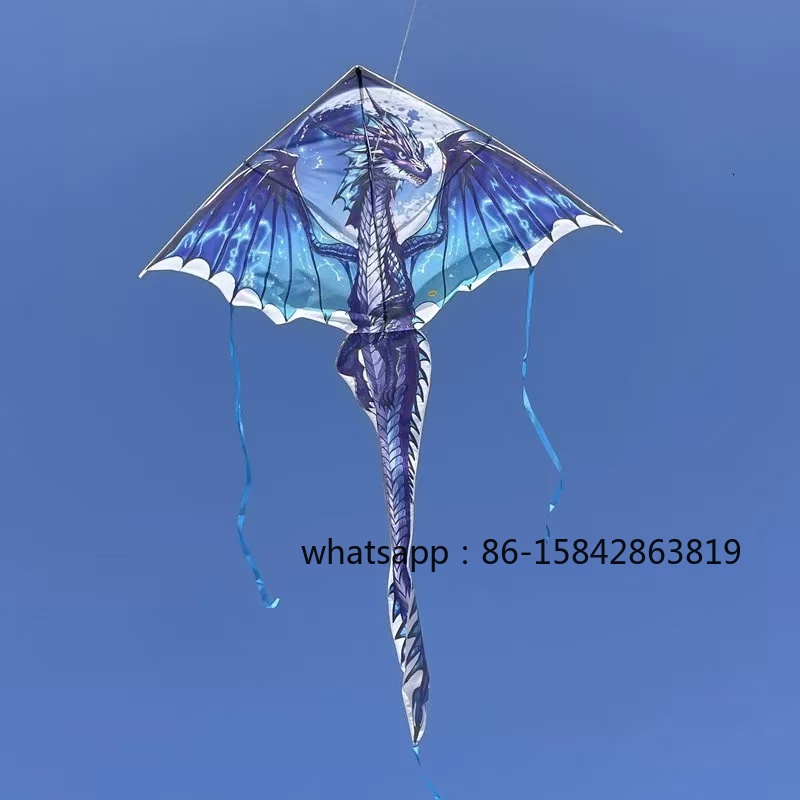 새로운 익룡 연날개 전문용 바람 연날개 릴 야외 장난감 - Kite Wind Outdoor 리뷰 및 가격