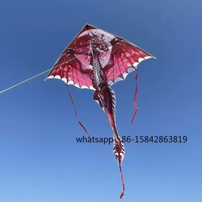새로운 익룡 연날개 전문용 바람 연날개 릴 야외 장난감 - Kite Wind Outdoor 리뷰 및 가격