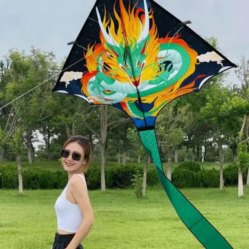 어린이를위한 드래곤 연 비행 장난감 연 독수리 발사 야 - Kite Wind Outdoor 리뷰 및 가격