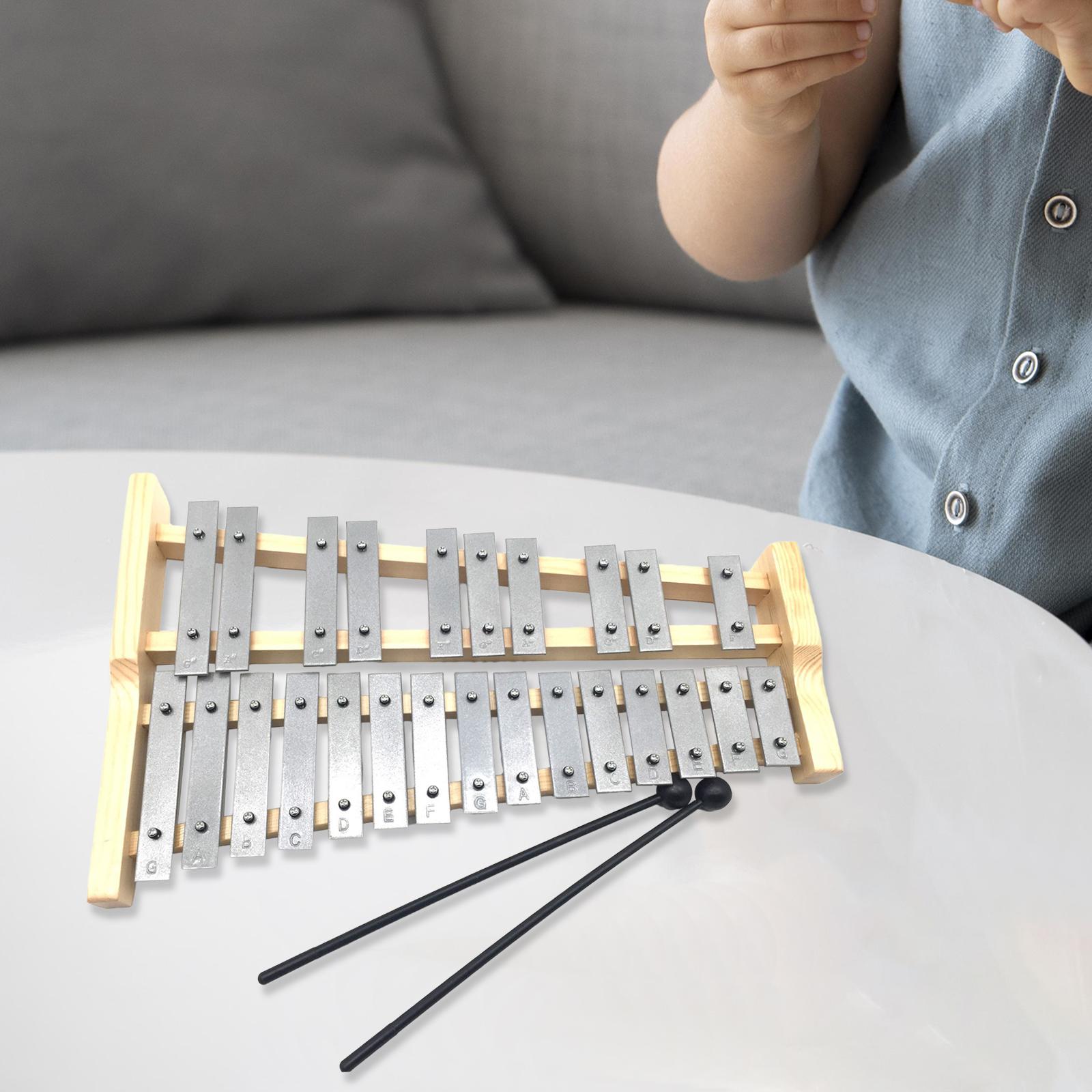 25개의 메탈 키가 있는 실로폰 글로켄슈필 타악기, 어 - Kids Toys Xylophone 리뷰 및 가격